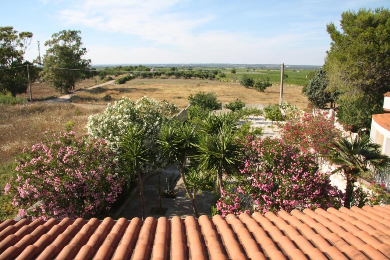 Villa La Casa Di Dario Monacizzo